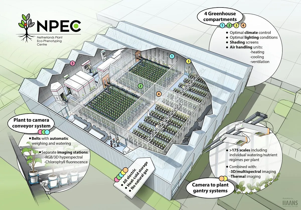 Artist Impression WUR NPEC Greenhouse. PhenoKey was hired as design architect by both Wageningen & Utrecht University. Image credits: WUR NPEC