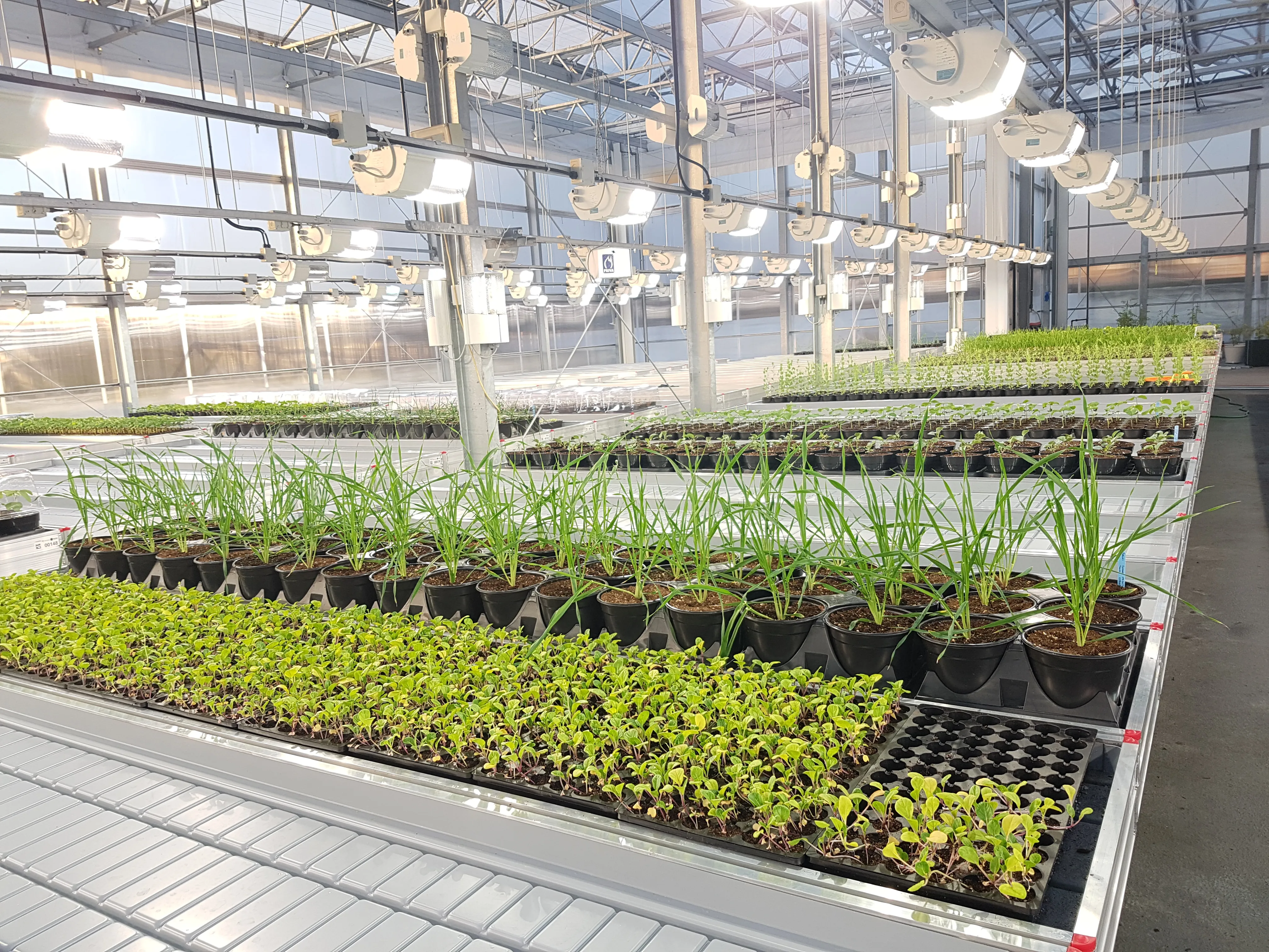 Efficacy screening platform capable of handling various pot and crop types