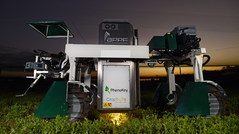 Rover based field phenotyping