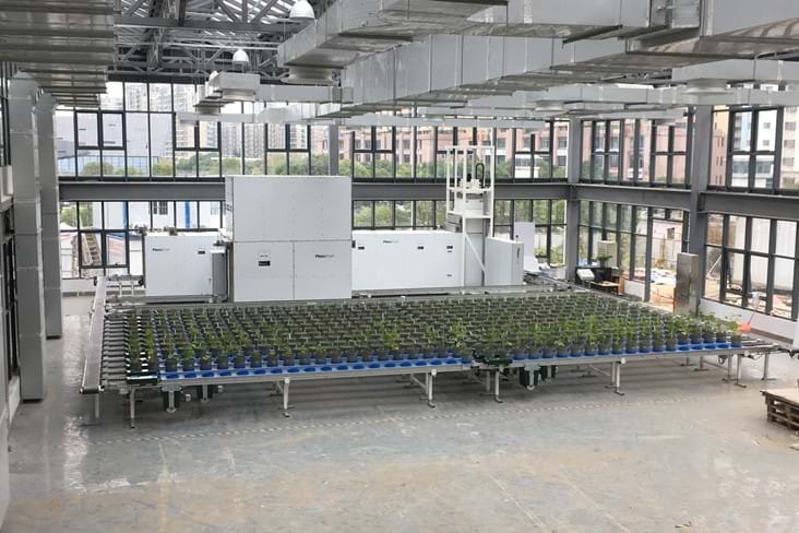 Plant to sensor phenotyping installation at NAU, China. Client contact by PhenoTrait